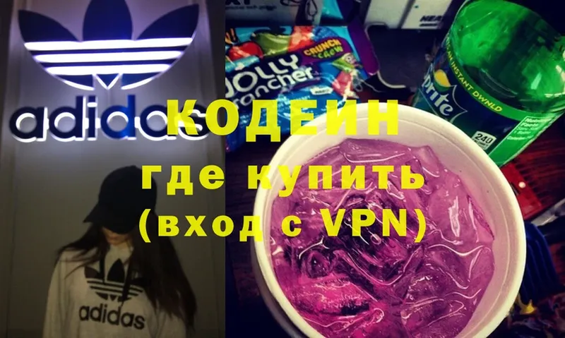 магазин продажи наркотиков  блэк спрут маркетплейс  Кодеин Purple Drank  Бологое 